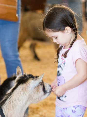 San Antonio Stock Show & Rodeo - FEBRUARY
